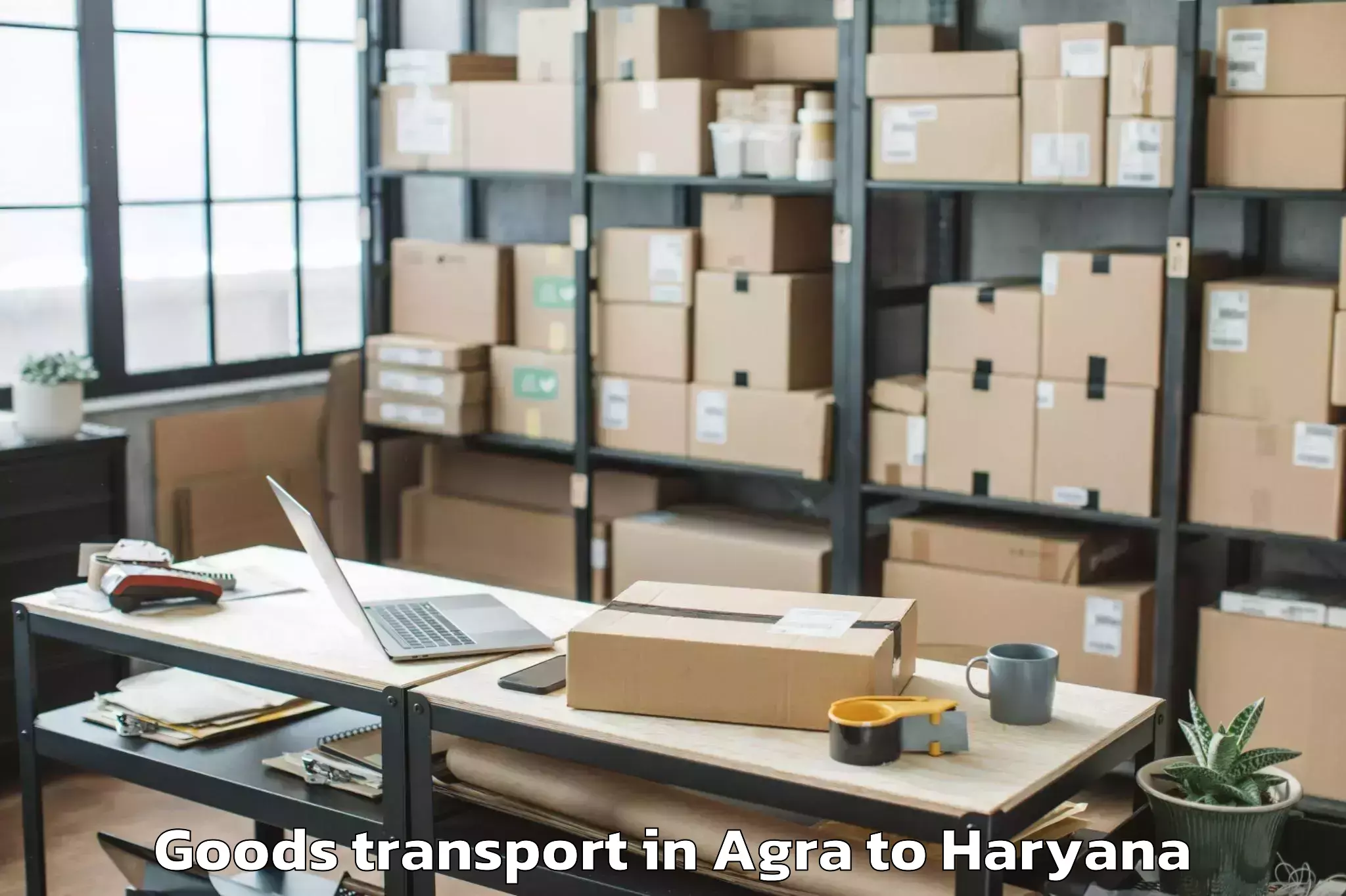 Reliable Agra to Beri Goods Transport